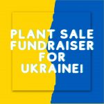 Local Don Mills plant sale/fundraiser for Ukraine!